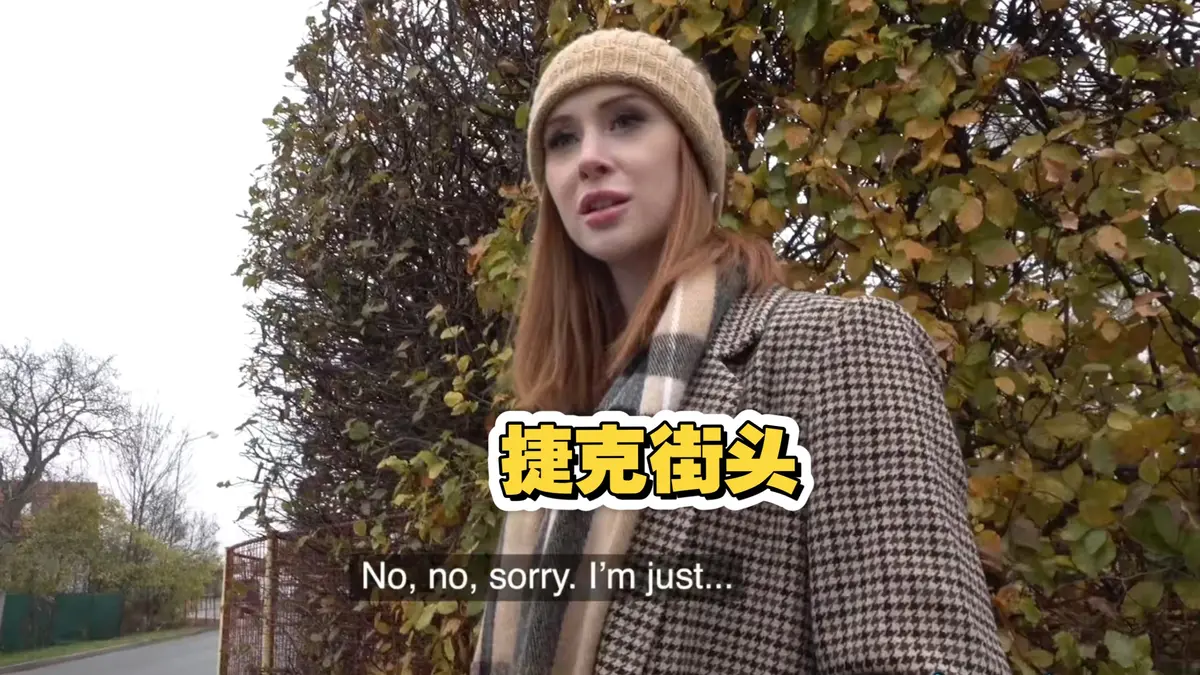 《捷克街头钞能力搭讪系列》2025高清电影全集-免费在线观看完整版无广告-捷克街头钞能力搭讪系列1080P资源下载