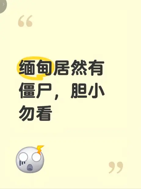 《缅甸僵尸出土事件》高清无删减视频在线免费播放 - 现场全程录像揭秘缅北僵尸真相 - 完整版全集