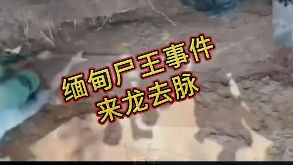 《缅甸僵尸出土事件视频》完整版资源下载 - 缅北僵尸出土事件始末原视频高清下载 超清未删减全程录像